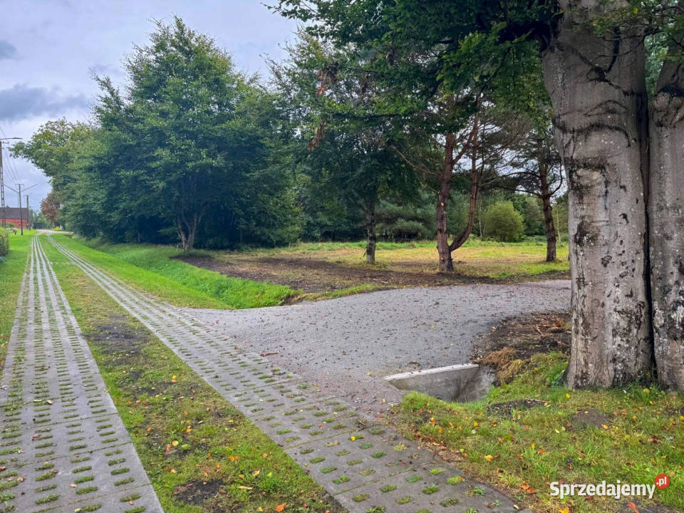 Działka budowlana z laskiem Sprzedaż Darłowo