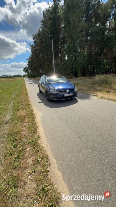 Volkswagen Golf 7 Świeca