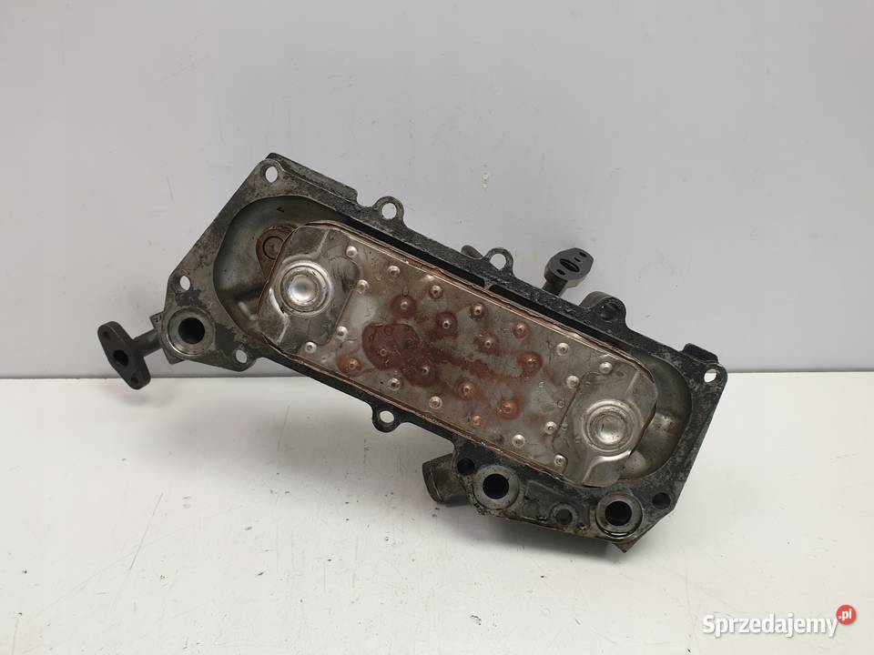 CHŁODNICZKA EGR Nissan Patrol Y61 30 DI Chełm