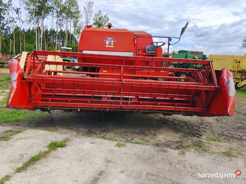 Kombajn Massey Ferguson 487 Specjal sieczkarnia Zwoleń