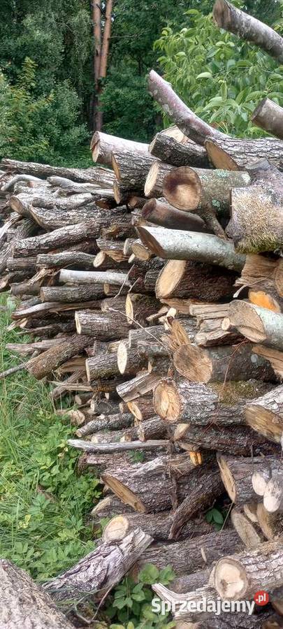 Drewno opałowe Pozostałe Lębork sprzedam