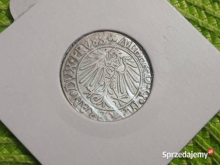 moneta srebrna Prusy Książęce grosz z 1541r