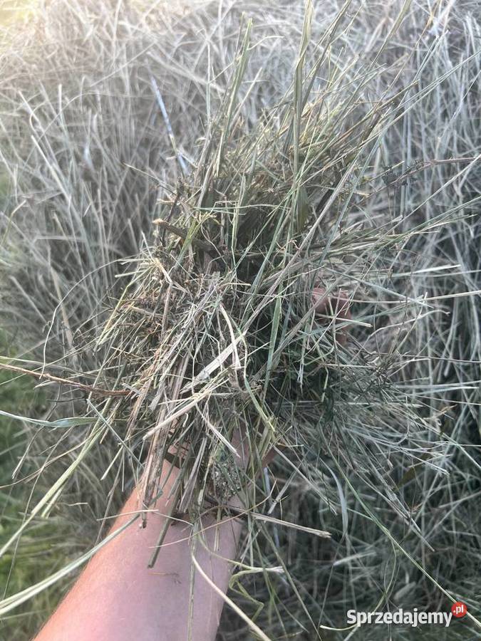 Sprzedam sianokiszonkę Rawicz sprzedam