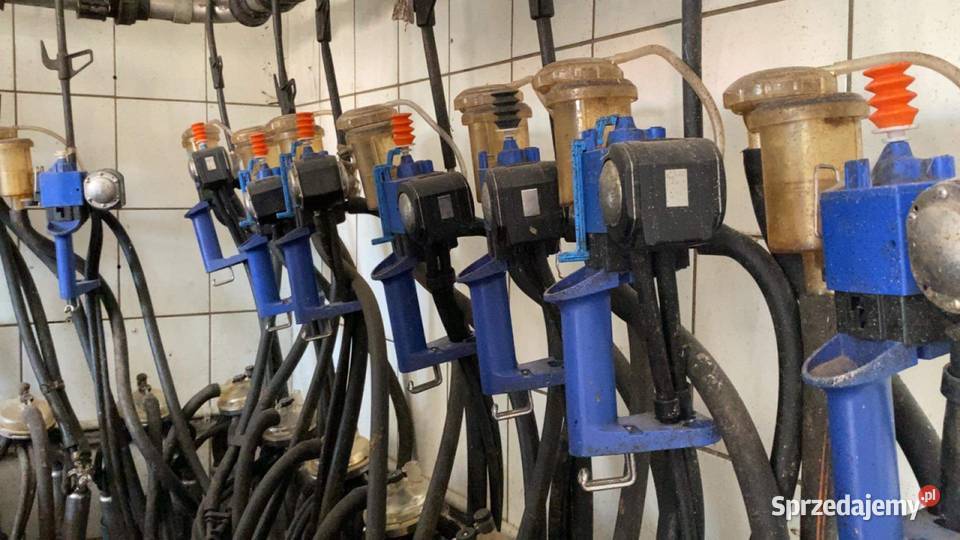 Dojarka delaval 10 aparatów ze zbiornikiem bez Morąg