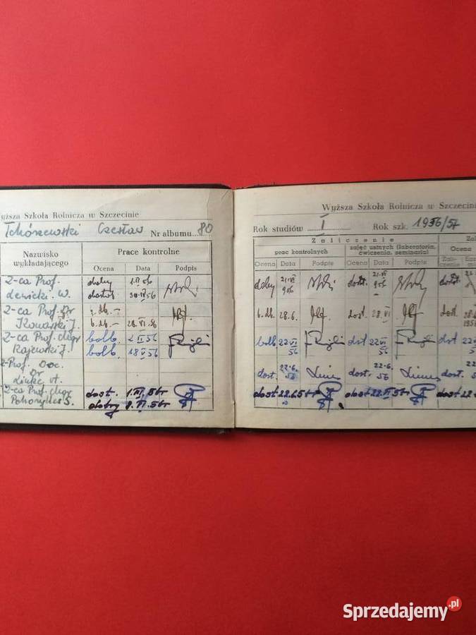 1589 Indeks Wyższej Szkoły Rolniczej Antykwariat Szczecin