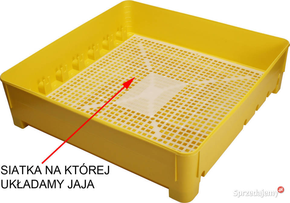 Inkubator IO1P TE klujnik wylęgarka półautomat Rzeszów