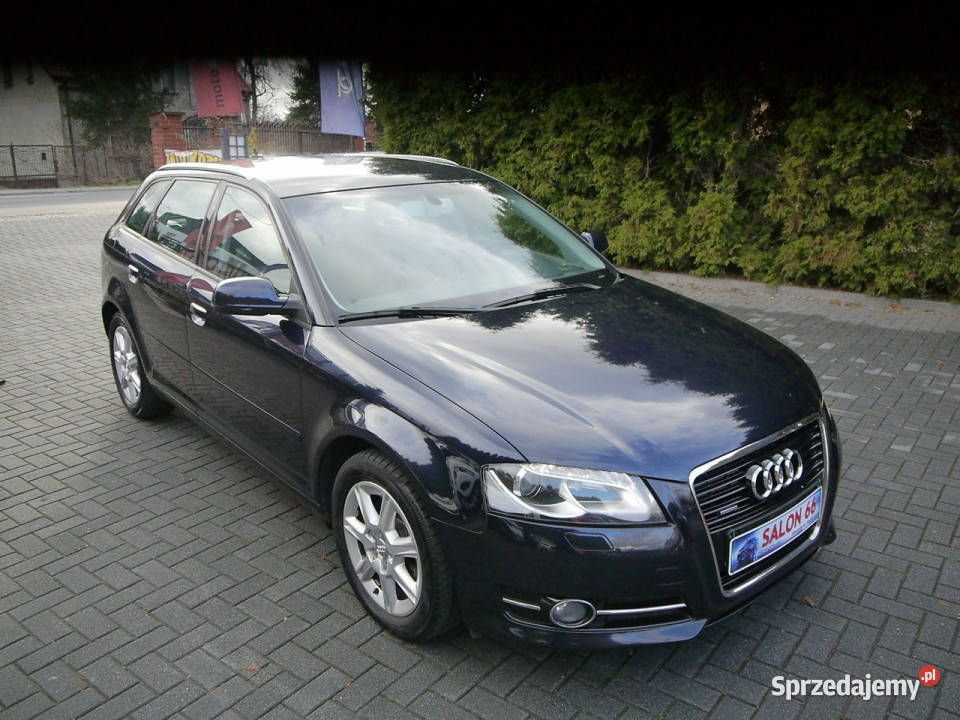 Audi A3 18 Qattro Led Xenon Bezwypadkowy Stan z reflektory ksenonowe Częstochowa