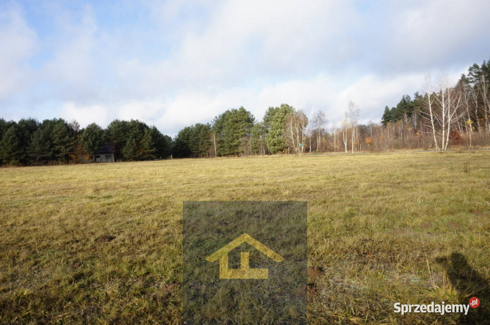 Działka z linią brzegową jeziora