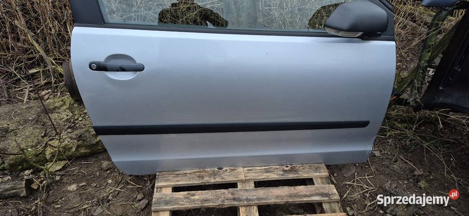 Drzwi prawe Vw Polo 9N LA7W Rok produkcji 2005 Drzwi Słupsk