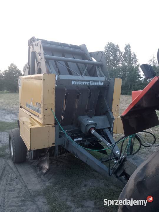 Sprzedam prase nieuszkodzony Pozostałe wielkopolskie Bukowe