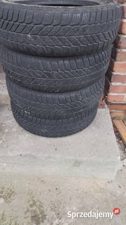 Opony Dębica Frigo 1657014 Krzepice