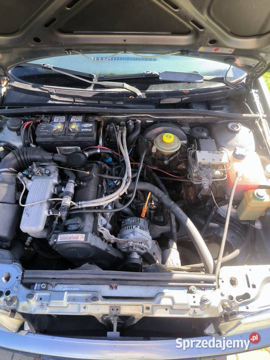 Audi 80 B4 Quattro 20E ABK 1992 hak