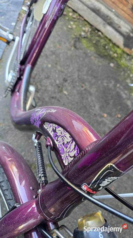 Rower Holenderka Sparta Poznań sprzedam