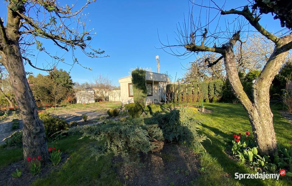 Sprzedam działkę 260 m kw ROD BRATEK wielkopolskie