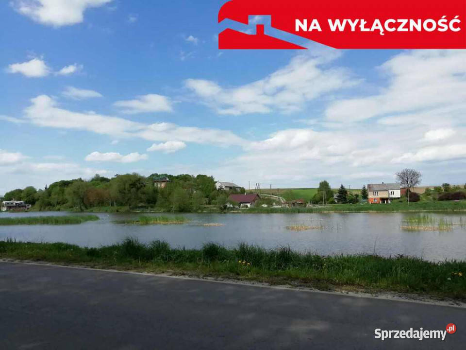 Działka o pow 46 ha w Klementowicach gm Kurów Klementowice