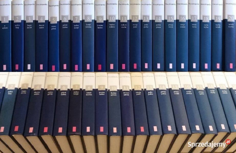 Encyklopedia szkolna PWN gazety wyborczej pomoc Kielce