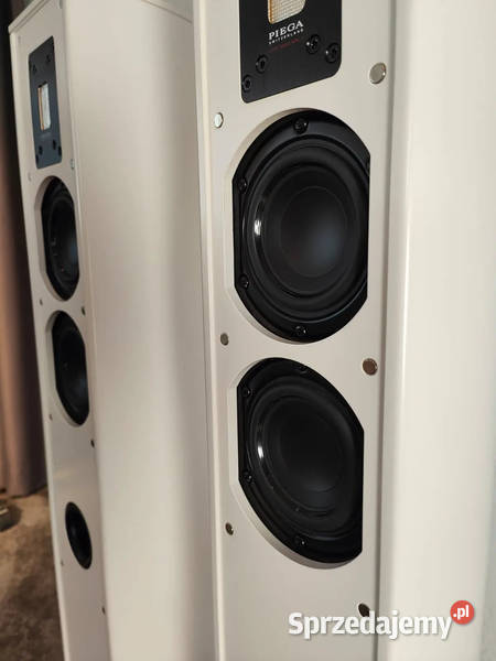 Bezprzewodowe głośniki Piega Premium 501 w Różan