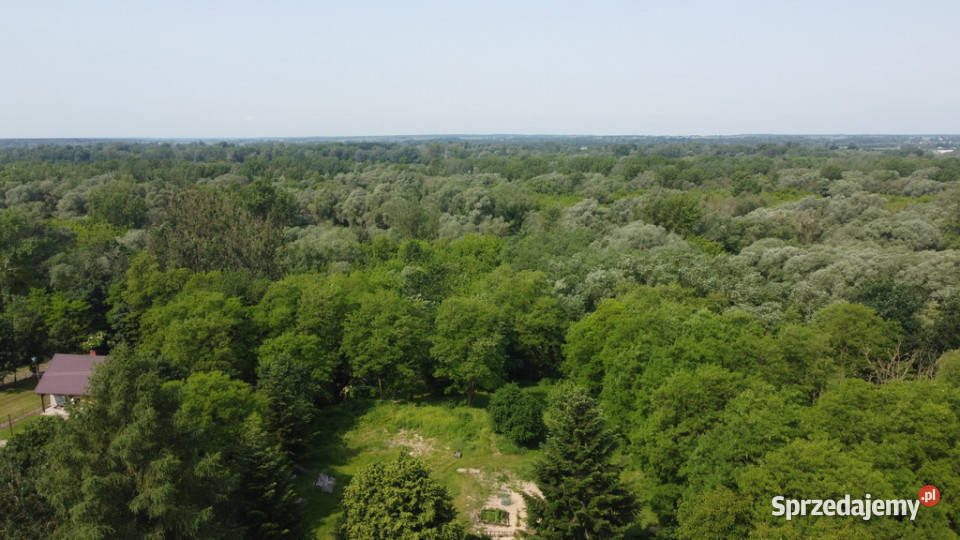 Dom w Kaliszanach Kolonii gm Józefów Wisłą