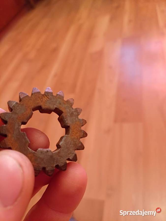 Koło zębate 19z shl m11 Świdnica Polska