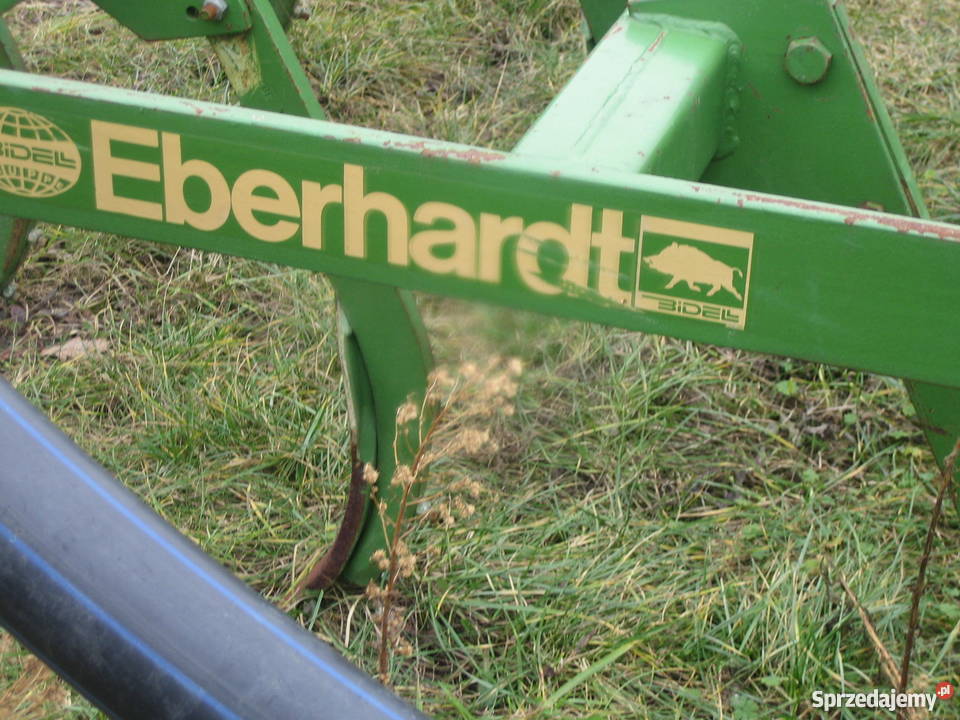 gruber scierniskowy Eberhardt Wola Ociecka