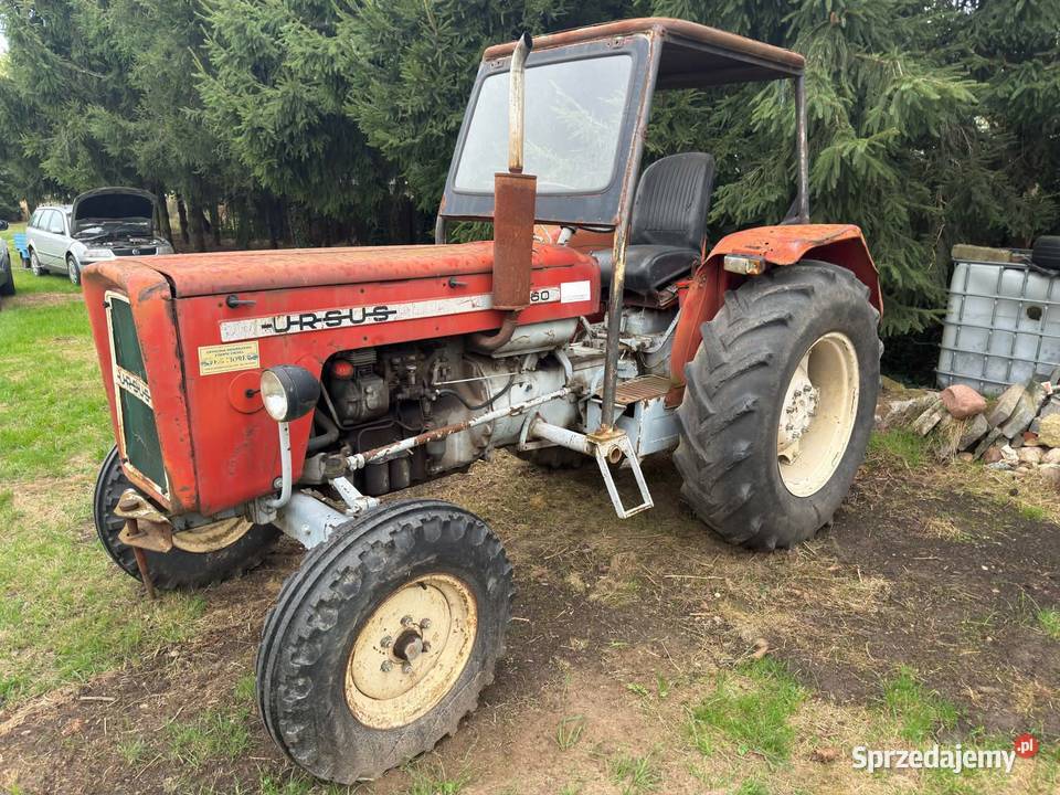 Ursus c360 Ursus Rogów Sobócki