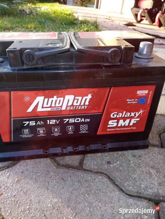 Scenic 19 dci Myślenice