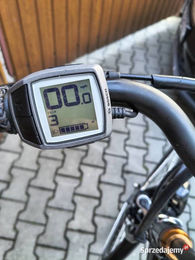 Rower elektryczny marki Batavus posiada Żywiec