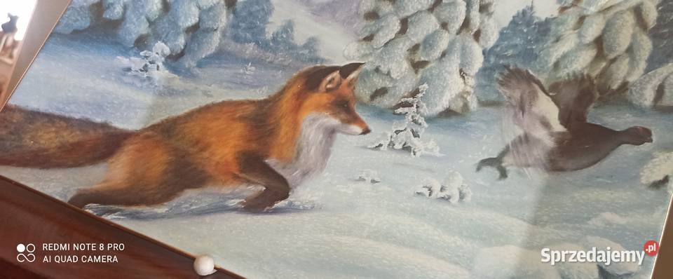 Olbrzymia Patera Lis i cietrzew
Syg F L Eklund sprzedam