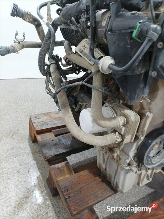 SILNIK KOMPLETNY BENZYNA SFCF KL62723 10