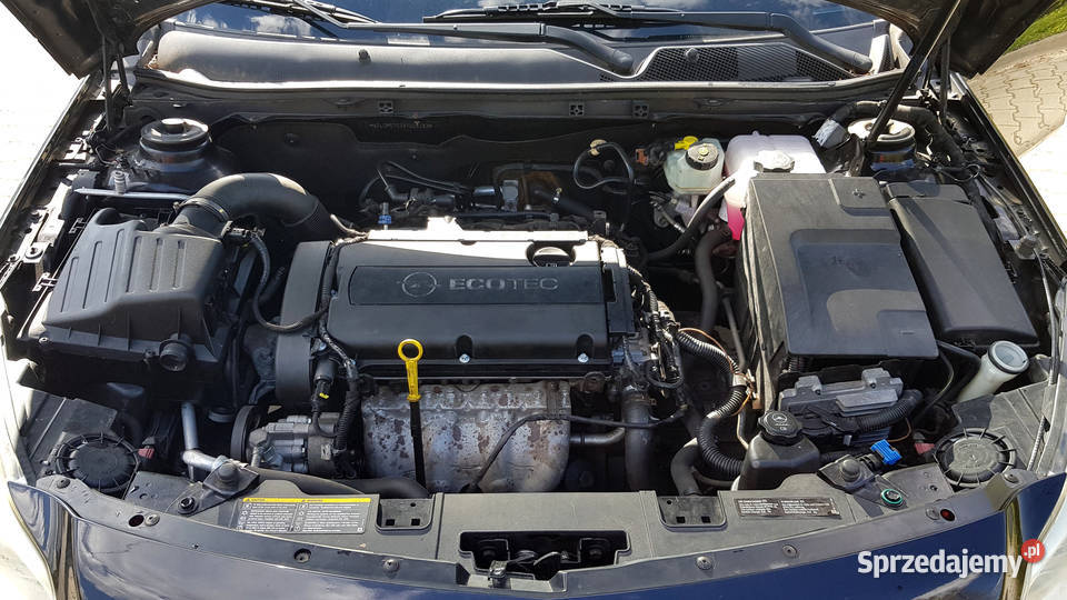 Opel Insignia 18 benzyna 1800cm3 śląskie Bielsko-Biała