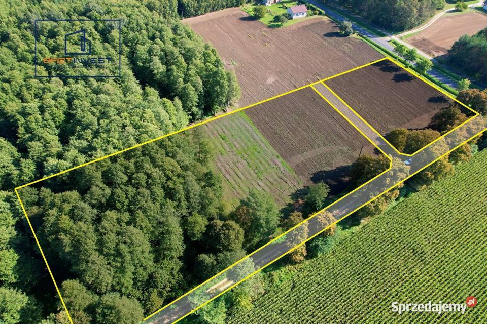 Duża działka budowlana z własnym lasem 7012 m2 Skorosze