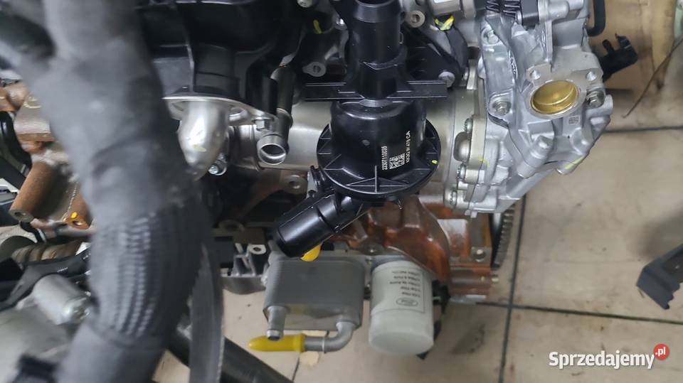 Silnik Ford Transit KTO DOBRZE NAPRAWI FORDA dostawcze Radom