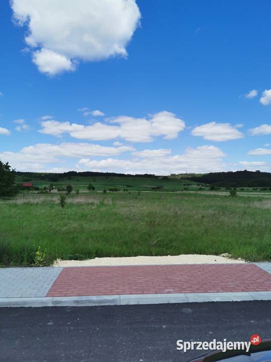 Syndyk sprzeda nieruchomość w Pińczowie Pińczów