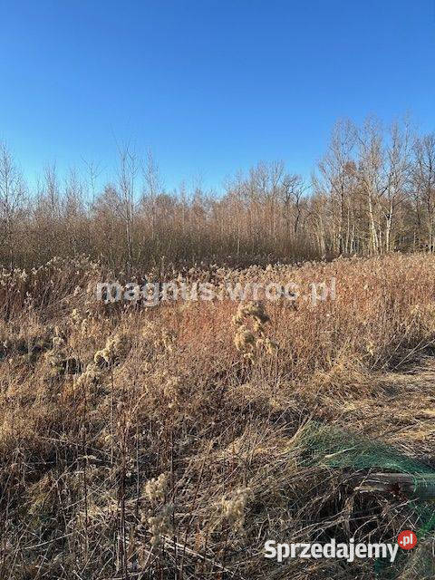 Oferuję działke inwestycyjną w Jerzmanowie Wrocław sprzedam