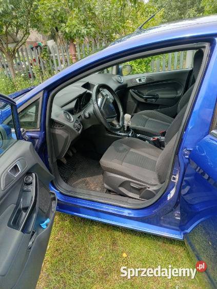 Ford Fiesta 16 TDCi wielkopolskie