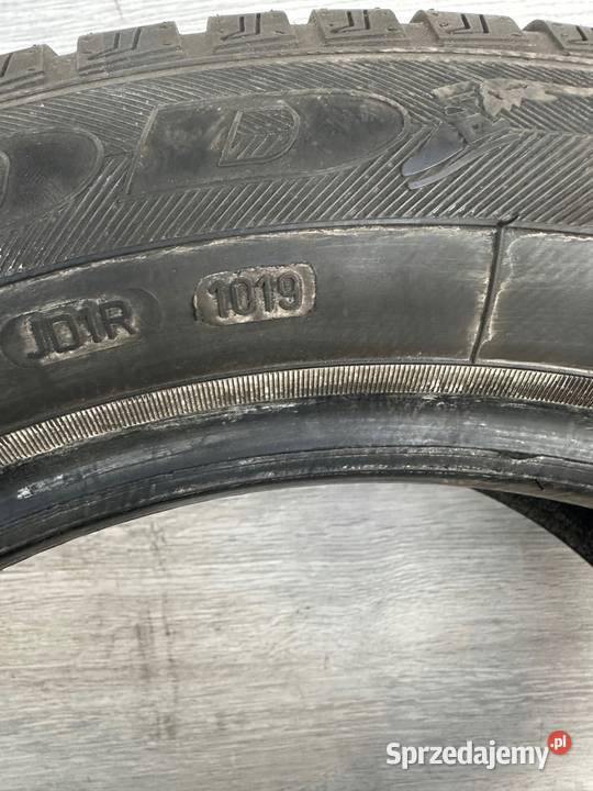 19560R16 GOODYEAR VECTOR 4SEASONS 568mm lubuskie