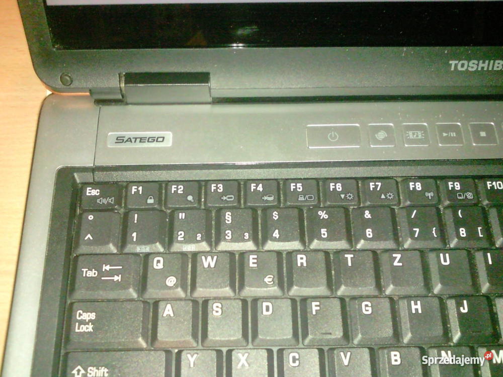 Toshiba Satellite P100 17-17.9" kujawsko-pomorskie Bydgoszcz