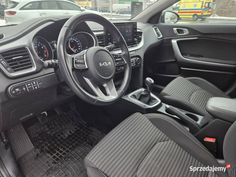 Kia Nowy Ceed 15 TGDI 160 Wersja M Salon Serwis Bełchatów