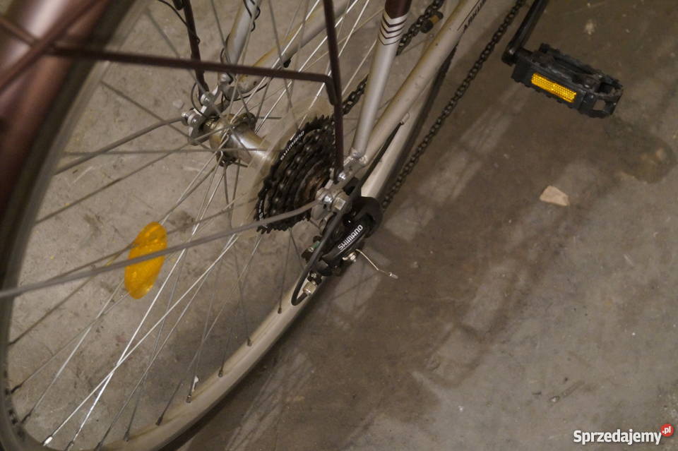 Rower Delta miejski 28 koła Gniezno