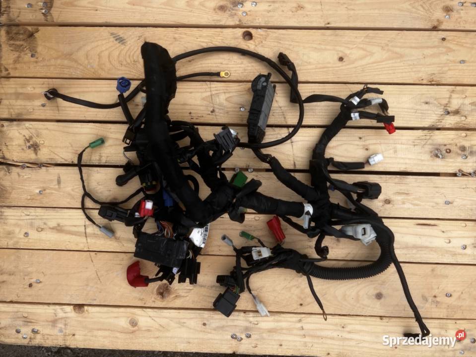 Wiązka Instalacja elektryczna Husqvarna Ostrzeszów