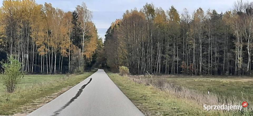 Siedlisko na spokojnej wsi duża działka z domem