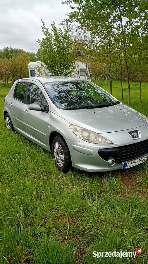 Peugeot 307 benzyna 16 Malbork