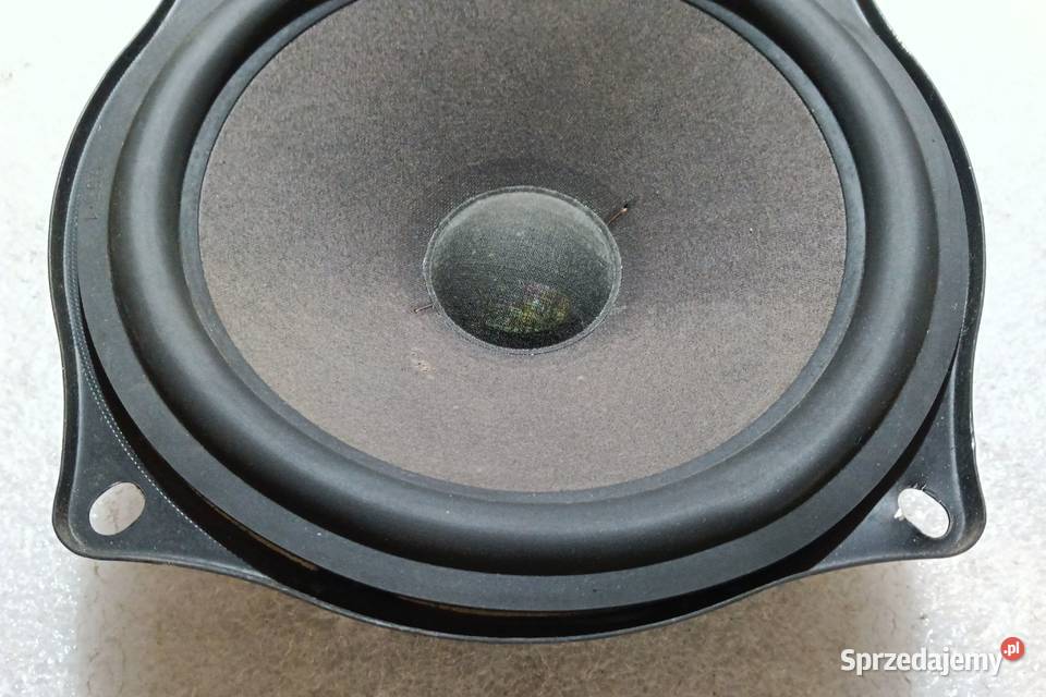 Głosnik niskotonowy 20cmvVintage Grundig Dual Sochaczew