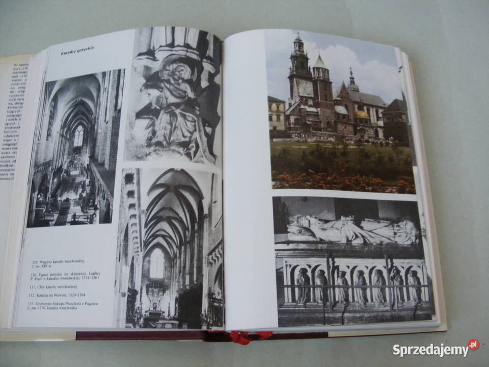 Dzieje sztuki polskiej Fakty i wyobraźnia Jan Książki naukowe i popularnonaukowe Oborniki Śląskie