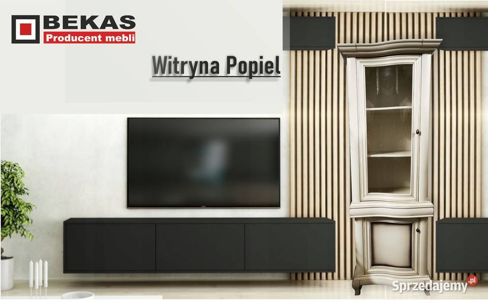 Witryna Ludwik Fala Słupek 75 Kolor POPIEL Mielec sprzedam