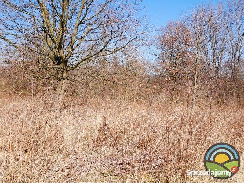 Niegoszowice gm Zabierzów działka 186 arowa w sprzedam