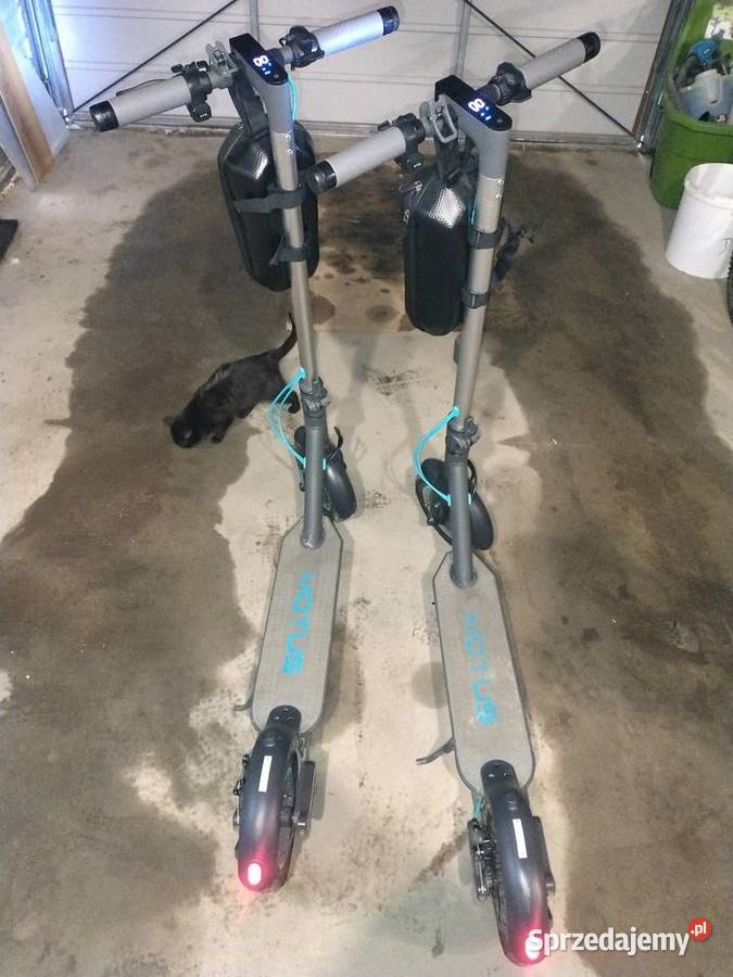 2x Motus Scooty 10 hulajnoga elektryczna 2025r