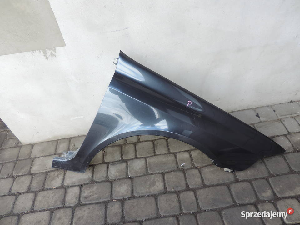 RENO LAGUNA 2 II BŁOTNIK PRAWY PRZEDNI TEB66 Nowy Sącz sprzedam