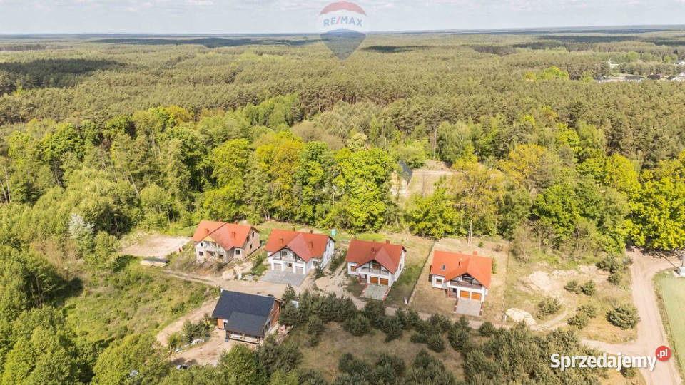 WOLNOSTOJĄCY LAS CISZA SĘKOWO natura wielkopolskie sprzedam