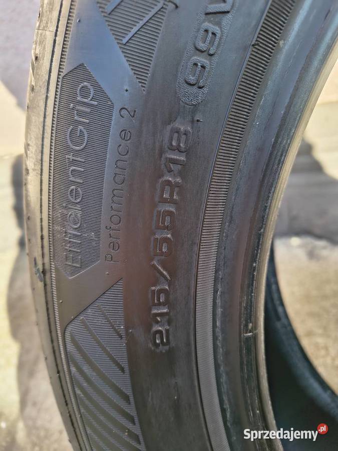 Opony Goodyear performance 2 2155518 lato Nysa